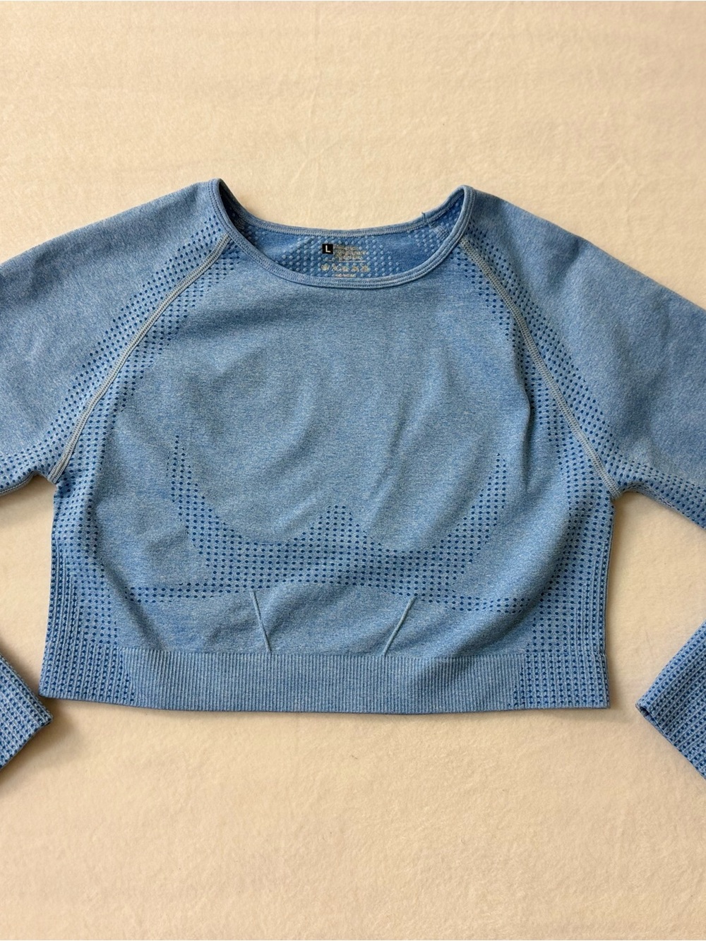 Cute Comfy Light Blue Seamless Perforated Long-Sleeve Crop Top With Thumb Holes